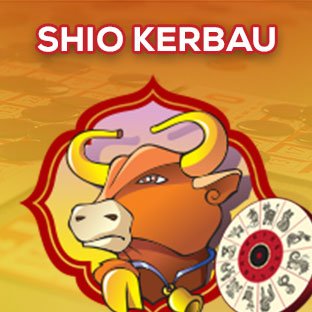 SHIO KERBAU